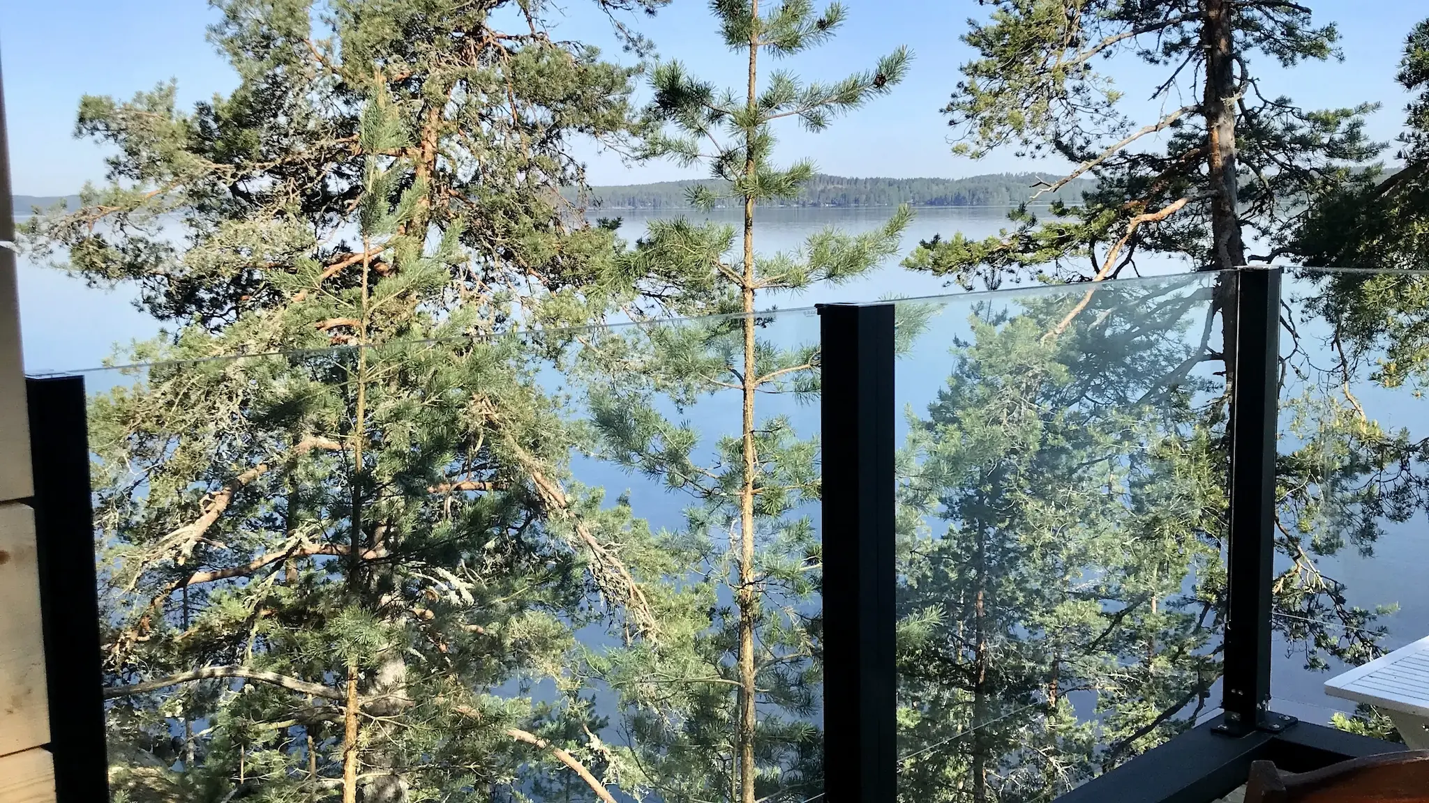 Mäntyjen keskellä kiinteä lasikaide – sulautuu luontoon ja suojaa näkymää pilaamatta.